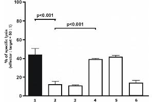 Analysis of cytolytical activity Analysis of cytolytical activity of human polyclonal NK cells on target melanoma cells. (HLAG 抗体)