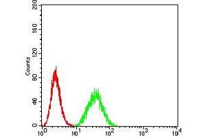 Flow cytometric analysis of Hela cells using DDX1 mouse mAb (green) and negative control (red). (DDX1 抗体  (AA 642-740))