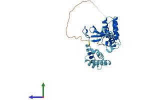 Protein Structure (PS) image for Transcription Elongation Factor A Protein 1 (TCEA1) (AA 1-301) protein (His tag) (ABIN7544333)