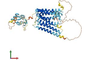 Protein Structure (PS) image for Solute Carrier Family 39 (Zinc Transporter), Member 8 (SLC39A8) (AA 1-462) protein (His tag) (ABIN7560007)