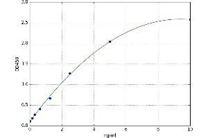Vasodilator-Stimulated phosphoprotein (VASP) ELISA Kit