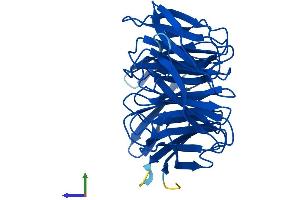 Protein Structure (PS) image for Cytosolic Iron-Sulfur Protein Assembly 1 (CIAO1) (AA 1-339) protein (His tag) (ABIN7546578)