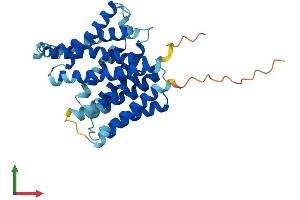Protein Structure (PS) image for Solute Carrier Family 35 (UDP-GlcNAc/UDP-Glucose Transporter), Member D2 (SLC35D2) (AA 1-326) protein (His tag) (ABIN7558161)
