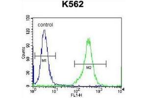 Flow cytometric analysis of K562 cells using CD238 / KEL Antibody (Center) Cat. (KEL 抗体  (Middle Region))