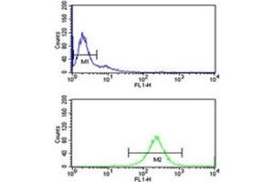Image no. 5 for anti-Complement Component C7 (C7) (AA 375-403) antibody (ABIN3029694)