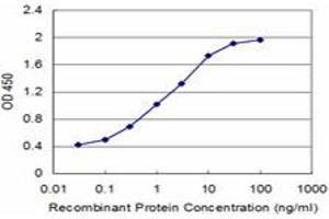 Detection limit for recombinant GST tagged NPY is approximately 0. (NPY 抗体  (AA 29-97))