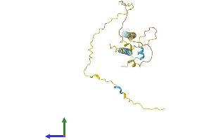 AlphaFold protein structure predicition of Mouse Recombinant Tmem51 Protein, UniprotID Q99LG1