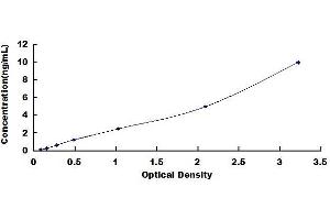 Typical standard curve (CEBPA ELISA 试剂盒)