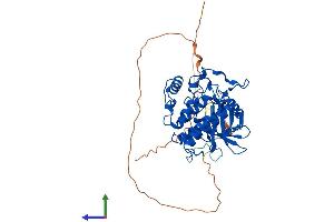 Protein Structure (PS) image for Casein Kinase 1, gamma 1 (CSNK1G1) (AA 1-422) protein (His tag) (ABIN7548625)
