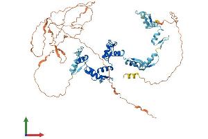 Protein Structure (PS) image for CCCTC-Binding Factor (Zinc Finger Protein)-Like (CTCFL) (AA 1-636) protein (His tag) (ABIN7561942)