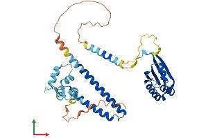 Protein Structure (PS) image for N-Terminal EF-Hand Calcium Binding Protein 3 (NECAB3) (AA 1-353) protein (His tag) (ABIN7561047)