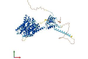 Protein Structure (PS) image for Solute Carrier Family 26, Member 6 (SLC26A6) (AA 1-759) protein (His tag) (ABIN7555327)