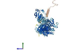 Protein Structure (PS) image for ATPase, H+/K+ Transporting, Nongastric, alpha Polypeptide (ATP12A) (AA 1-1039) protein (His tag) (ABIN7552479)