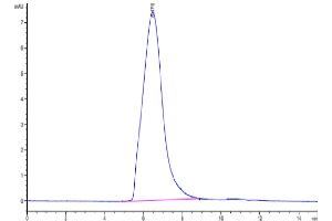 Size-exclusion chromatography-High Pressure Liquid Chromatography (SEC-HPLC) image for Melanoma Cell Adhesion Molecule (MCAM) (AA 24-563) protein (His tag) (ABIN7275301)