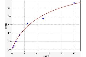 Bone Morphogenetic Protein 3 (BMP3) ELISA Kit