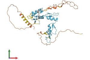 Protein Structure (PS) image for Zic Family Member 4 (ZIC4) (AA 1-334) protein (His tag) (ABIN7545298)