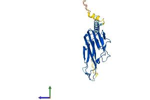 Protein Structure (PS) image for Tumor Necrosis Factor alpha (TNF alpha) (AA 1-233) protein (His tag) (ABIN7555778)
