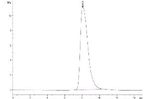 Size-exclusion chromatography-High Pressure Liquid Chromatography (SEC-HPLC) image for V-Erb-A erythroblastic Leukemia Viral Oncogene Homolog 4 (Avian) (ERBB4) (AA 26-651) protein (His-Avi Tag,Biotin) (ABIN7274806)