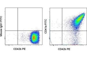 Image no. 1 for anti-Integrin Alpha2b (CD41) antibody (FITC) (ABIN474062) (Integrin Alpha2b 抗体  (FITC))