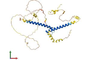 Protein Structure (PS) image for Basic Helix-Loop-Helix Family, Member E22 (BHLHE22) (AA 1-355) protein (His tag) (ABIN7564519)