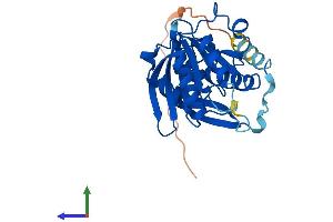 Protein Structure (PS) image for Methyltransferase Like 21C (METTL21C) (AA 1-248) protein (His tag) (ABIN7558747)
