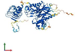 Protein Structure (PS) image for CCR4-NOT Transcription Complex, Subunit 6 (CNOT6) (AA 1-557) protein (His tag) (ABIN7564656)