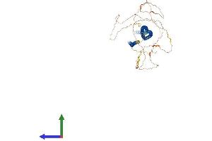 AlphaFold protein structure predicition of Mouse Recombinant Lzts2 Protein, UniprotID Q91YU6 (LZTS2 Protein (AA 1-671) (His tag))