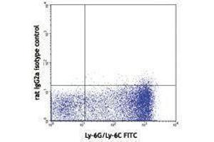 Flow Cytometry (FACS) image for anti-Lymphotoxin beta Receptor (TNFR Superfamily, Member 3) (LTBR) antibody (PE) (ABIN2663836) (LTBR 抗体  (PE))