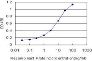 Detection limit for recombinant GST tagged LIG1 is approximately 0. (LIG1 抗体  (AA 810-919))