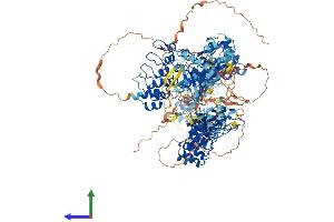 Protein Structure (PS) image for Tankyrase, TRF1-Interacting Ankyrin-Related ADP-Ribose Polymerase (TNKS) (AA 1-1327) protein (His tag) (ABIN7555777)