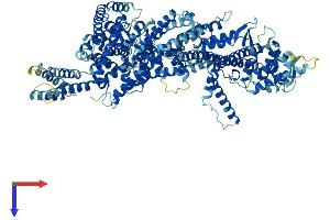 AlphaFold protein structure predicition of Mouse Recombinant Washc5 Protein, UniprotID Q8C2E7