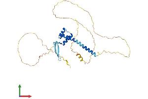 Protein Structure (PS) image for Ventral Anterior Homeobox 1 (VAX1) (AA 1-334) protein (His tag) (ABIN7545096)