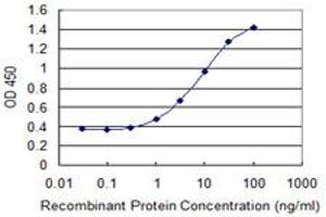 Detection limit for recombinant GST tagged FUT5 is 0. (FUT5 抗体  (AA 95-164))