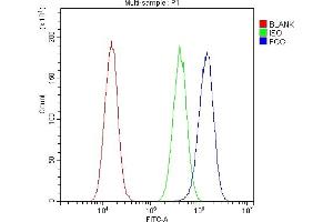 Flow Cytometry analysis of A549 cells using anti-FGG antibody (ABIN4886589). (FGG 抗体  (N-Term))
