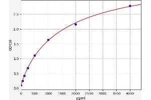 Caspase 1 ELISA 试剂盒