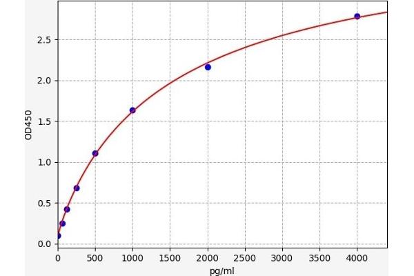 Caspase 1 ELISA 试剂盒