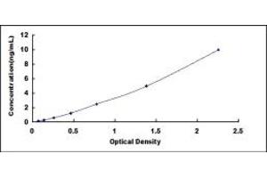 Typical standard curve (NPX1 ELISA 试剂盒)