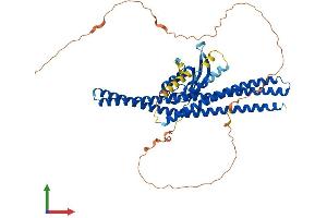 Protein Structure (PS) image for Sorting Nexin 1 (SNX1) (AA 1-522) protein (His tag) (ABIN7565232)