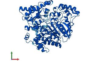 Protein Structure (PS) image for Urocanate Hydratase 1 (UROC1) (AA 1-676) protein (His tag) (ABIN7559792)