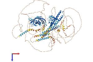 AlphaFold protein structure predicition of Mouse Recombinant Ehbp1 Protein, UniprotID Q69ZW3