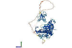 Protein Structure (PS) image for Polymerase (DNA Directed), lambda (POLL) (AA 1-573) protein (His tag) (ABIN7561746)
