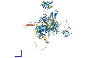 AlphaFold protein structure predicition of Human Recombinant ATP7A Protein, UniprotID Q04656