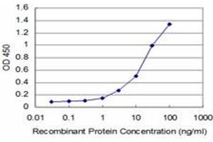 Detection limit for recombinant GST tagged DLL1 is approximately 0. (DLL1 抗体  (AA 18-109))