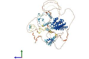 AlphaFold protein structure predicition of Human Recombinant CHERP Protein, UniprotID Q8IWX8
