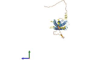 Protein Structure (PS) image for Claudin 23 (CLDN23) (AA 1-296) protein (His tag) (ABIN7561080)