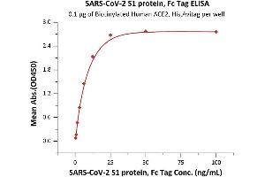 Immobilized Biotinylated Human ACE2, His,Avitag (ABIN6952428) at 1 μg/mL (100 μL/well) on streptavidin precoated (0.