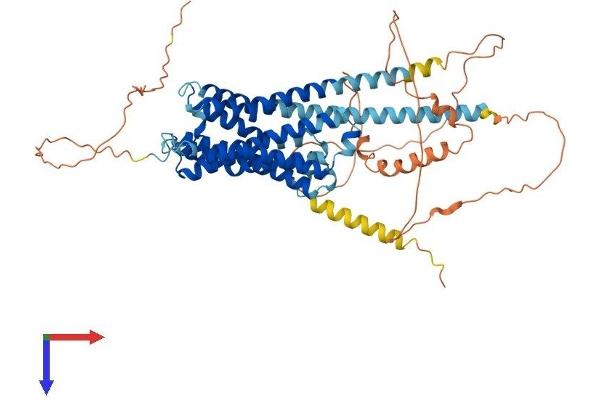 CHRM3 Protein (AA 1-589) (His tag)