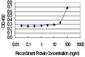 Detection limit for recombinant GST tagged MYLK4 is 10 ng/ml as a capture antibody. (MYLK4 抗体  (AA 3-100))