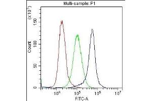 Flow Cytometry analysis of K562 cells using anti-CD59 antibody . (CD59 抗体  (AA 26-102))