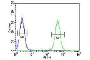 HDAC2 antibody flow cytometric analysis of K562 cells (right histogram) compared to a negative control (left histogram). (HDAC2 抗体  (AA 410-439))